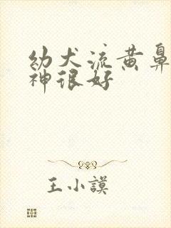 幼犬流黄鼻涕精神很好