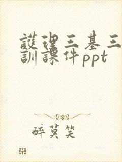 护理三基三严培训课件ppt