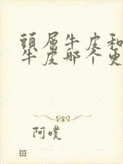 头层牛皮和二层牛皮哪个更耐磨