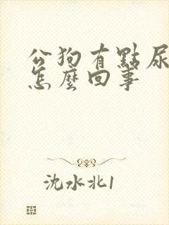 公狗有点尿血是怎么回事