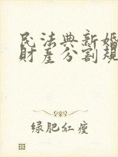 民法典新婚姻法财产分割规定