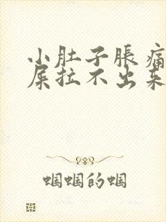 小肚子胀痛想拉屎拉不出来怎么回事