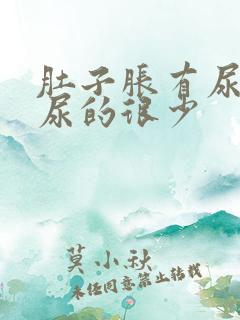 肚子胀有尿意却尿的很少