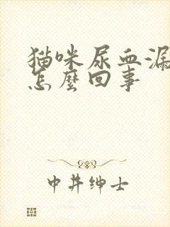 猫咪尿血漏尿是怎么回事