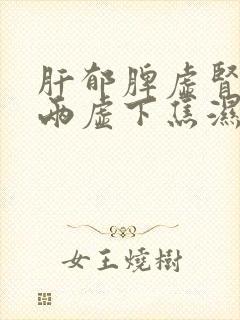 肝郁脾虚肾阴阳两虚下焦湿热吃什么中药