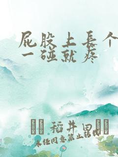 屁股上长个小包一碰就疼