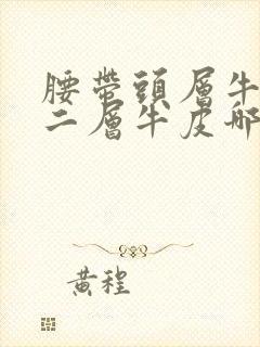 腰带头层牛皮和二层牛皮哪个好