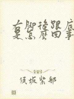 右脚后跟底麻木是怎么回事