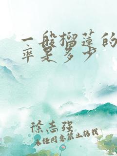 一般榴莲的出肉率是多少