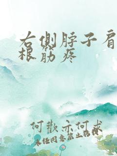 右侧脖子肩膀一根筋疼