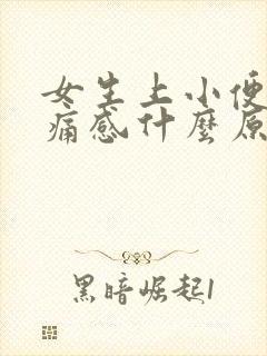 女生上小便有刺痛感什么原因