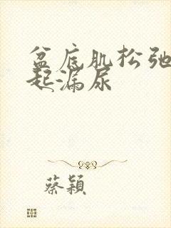 盆底肌松弛会引起漏尿