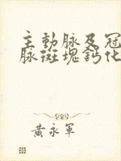 主动脉及冠状动脉斑块钙化