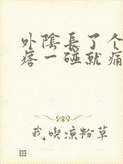 外阴长了个硬疙瘩一碰就痛