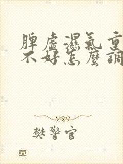 脾虚湿气重脾胃不好怎么调理