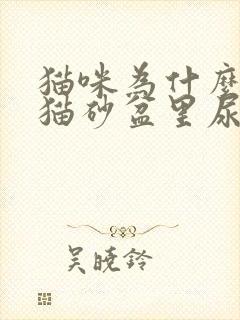 猫咪为什么不在猫砂盆里尿