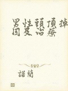 男性头顶掉发原因及治疗