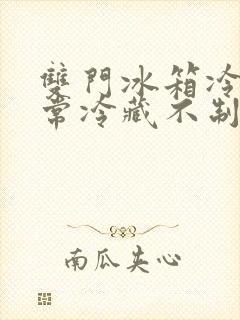 双门冰箱冷冻正常冷藏不制冷