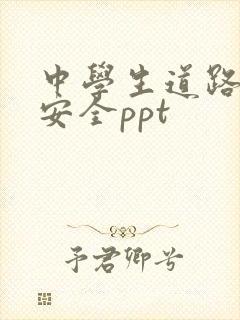 中学生道路交通安全ppt