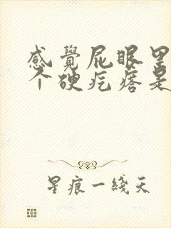 感觉屁眼里面有个硬疙瘩是怎么回事