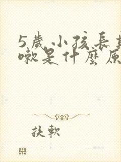 5岁小孩长期咳嗽是什么原因