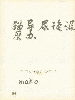 猫导尿后漏尿怎么办