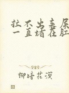 拉不出来屎感觉一直堵在肛门怎么办