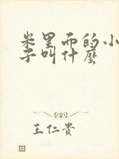 米里面的小黑虫子叫什么