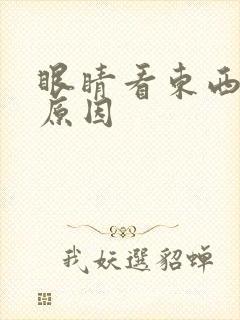 眼睛看东西模糊原因