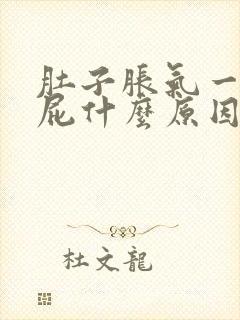 肚子胀气一直放屁什么原因