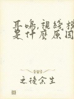 耳鸣,视线模糊是什么原因