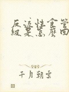 反流性食管炎a级是怎么回事