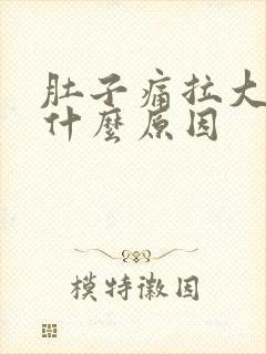 肚子痛拉大便是什么原因