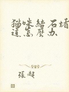 猫咪结石堵住尿道怎么办