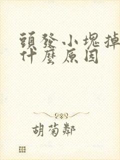 头发小块掉秃是什么原因