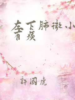 左下肺微小结节有痰