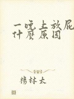 一晚上放屁多是什么原因