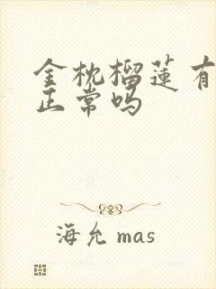 金枕榴莲有点苦正常吗