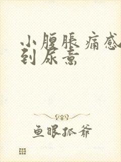 小腹胀痛感觉不到尿意