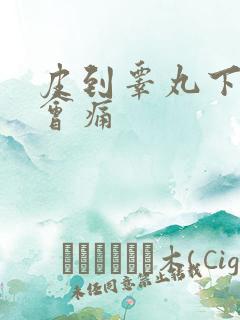 皮到睾丸下勃起会痛