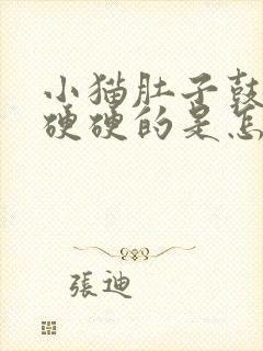 小猫肚子鼓鼓的硬硬的是怎么回事