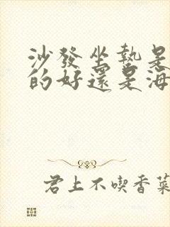 沙发坐垫是乳胶的好还是海绵的好处