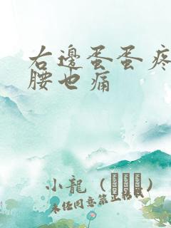 右边蛋蛋疼连着腰也痛