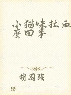 小猫咪拉血是怎么回事