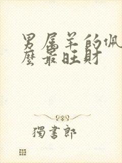 男属羊的佩戴什么最旺财