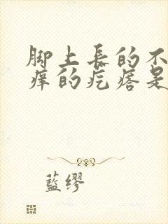 脚上长的不疼不痒的疙瘩是什么