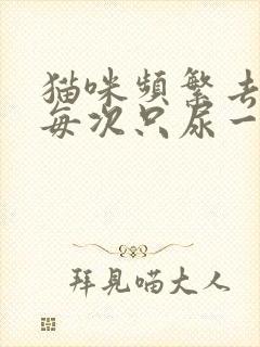 猫咪频繁去厕所每次只尿一点,或者没有