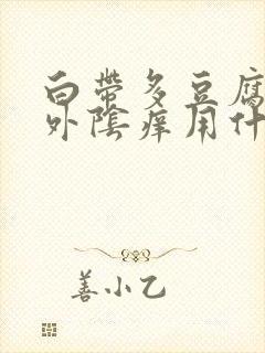 白带多豆腐渣状外阴痒用什么药