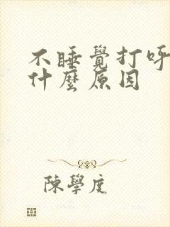 不睡觉打呼噜是什么原因