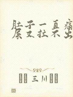 肚子一直痛想拉屎又拉不出来什么原因